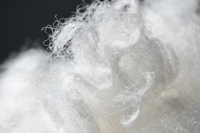Syntepon vs Hollowfiber: What is the Difference and What Density to Choose for Clothing