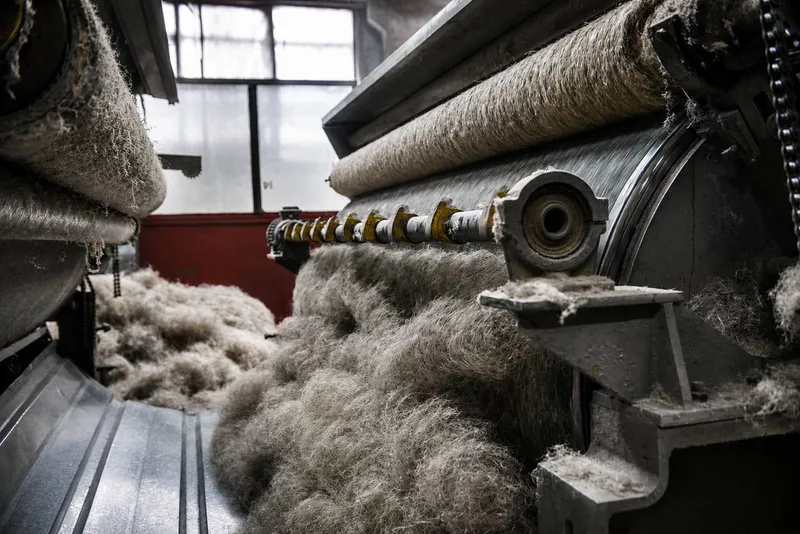 Cotonization and processing line for bast fibers
